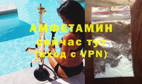 ешки Ельня