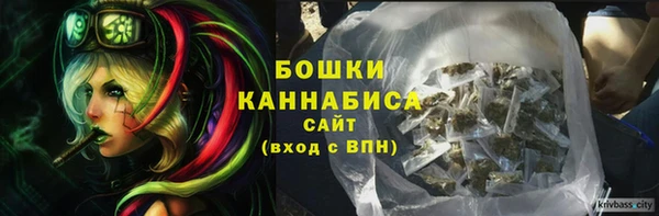 ешки Ельня