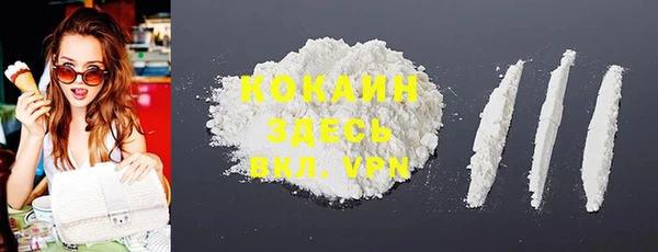 ешки Ельня