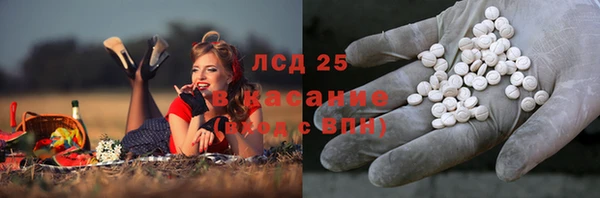ешки Ельня