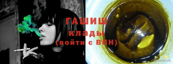 мдпв Елизово
