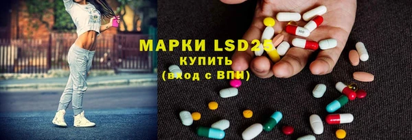 ешки Ельня